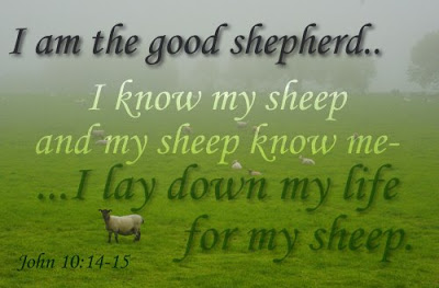 You are currently viewing The Good Shepherd and His Sheep