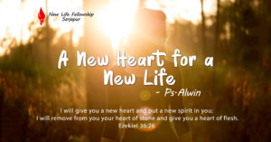 Read more about the article A new heart for a new life