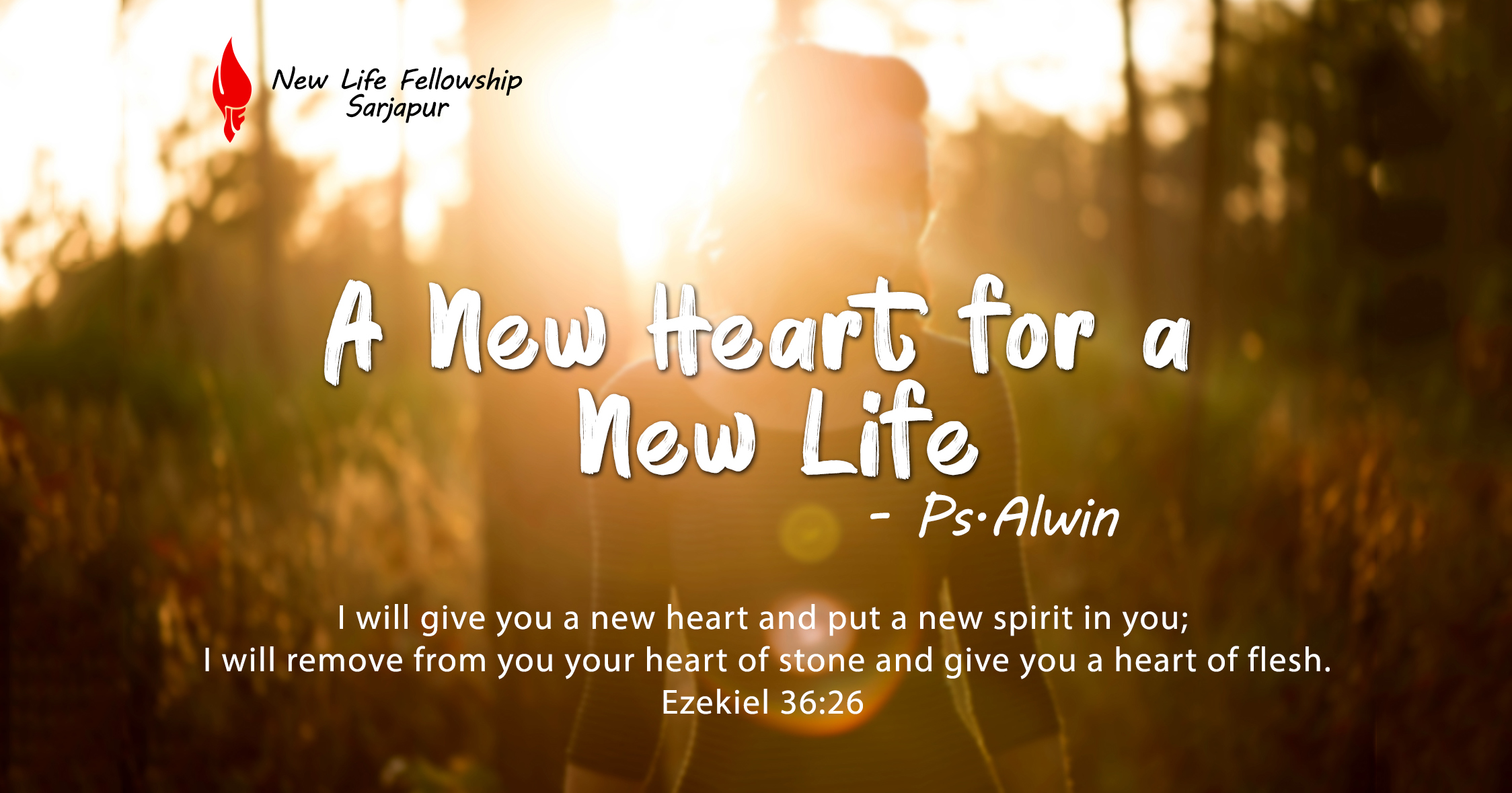 You are currently viewing A new heart for a new life