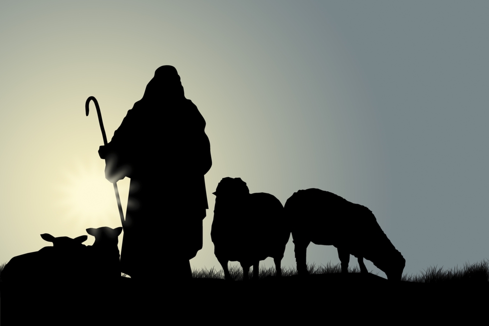 Read more about the article God – Our Shepherd
